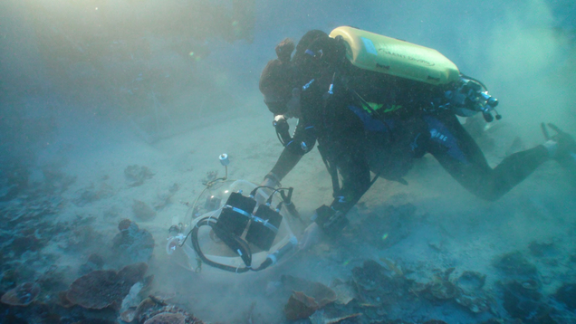 A scientist places an acrylic dome over the coral to be used in the staining experiment.